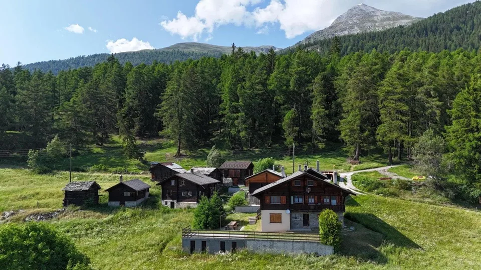 Charmante Wohnung im Salwald bei Mund