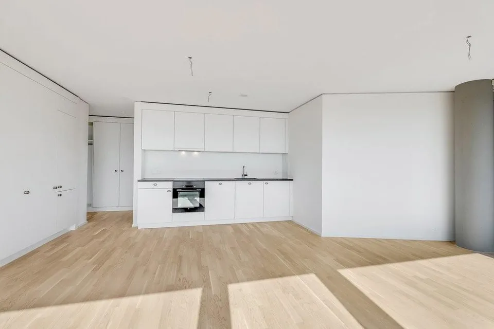 Tenant wanted for top apartment in Bern!