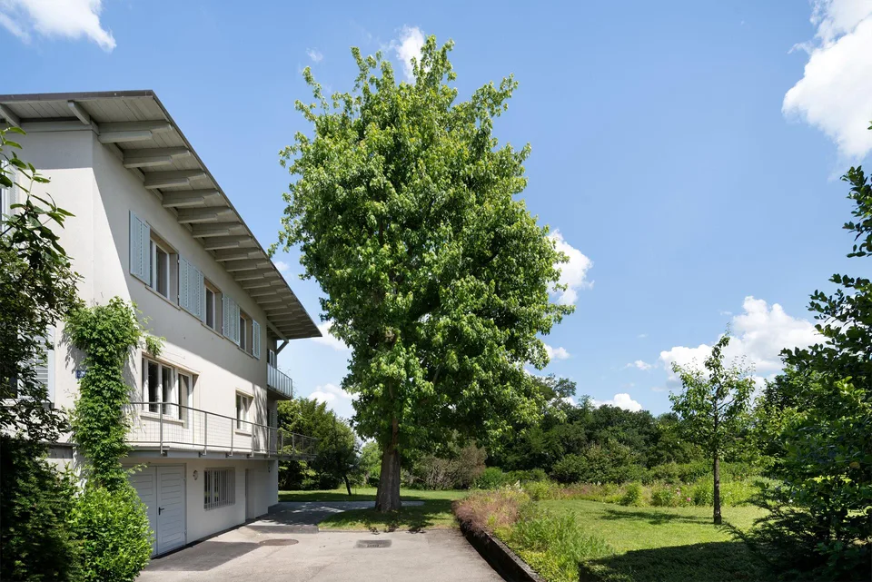 Maison individuelle mitoyenne avec jardin sur Bruderholz