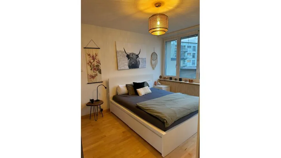 3½ ZIMMER-DACHWOHNUNG IN LUZERN, MÖBLIERT, TEMPORÄR