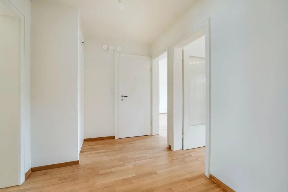 Nuovo splendore a Münchenstein: appartamento di 3,5 locali ristrutturato