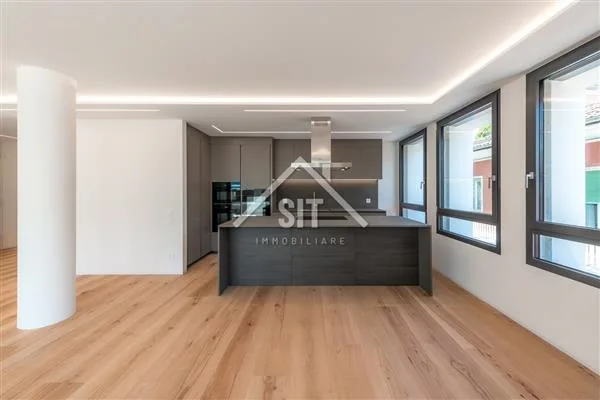 Ascona: Appartement 5.5 pièces