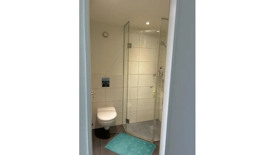 3½ ZIMMER-DACHWOHNUNG IN KERZERS (FR), MÖBLIERT, TEMPORÄR