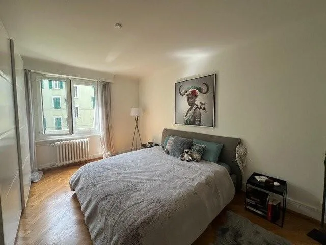 Magnifique logement quartier Montchoisi