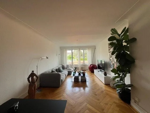 Magnifique logement quartier Montchoisi