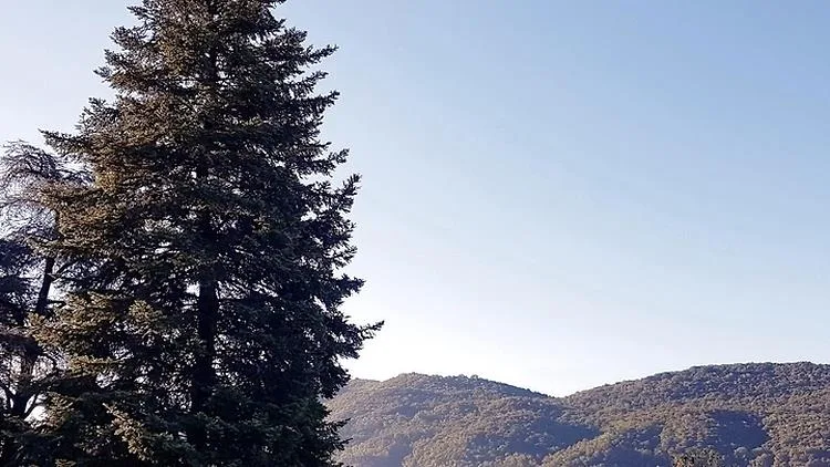 1½ ZI-WOHNUNG IN VACALLO (TI), MÖBLIERT – foto 20 di 20
