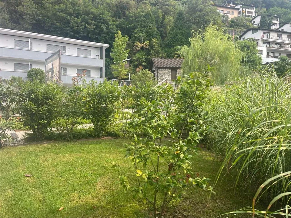 Gordola- stupendo 4.5 con giardino – foto 12 di 13