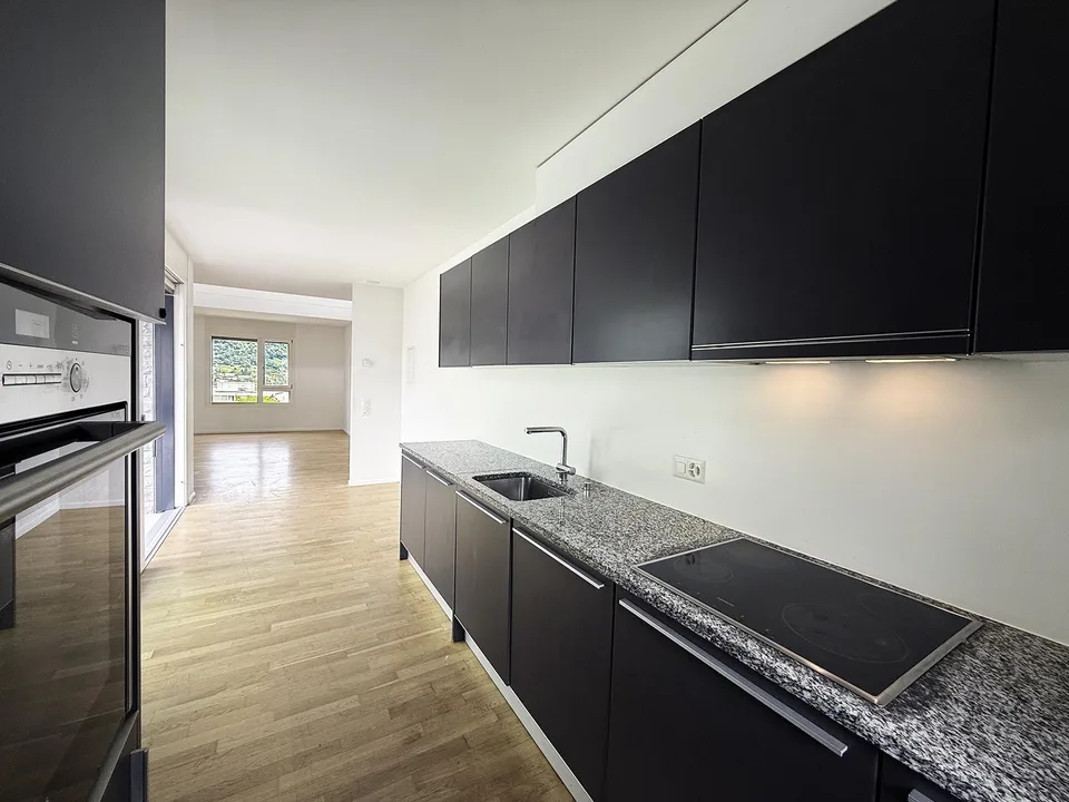 Grande Attico di 4.5 Locali duplex con terrazza panoramica – foto 8 di 29