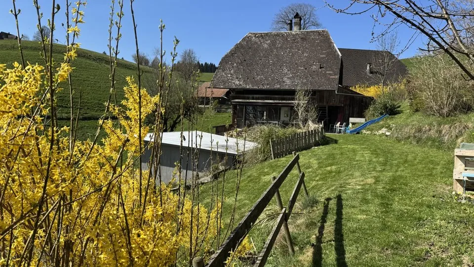 Stöckli in an idyllic location in the green – photo 6 of 15