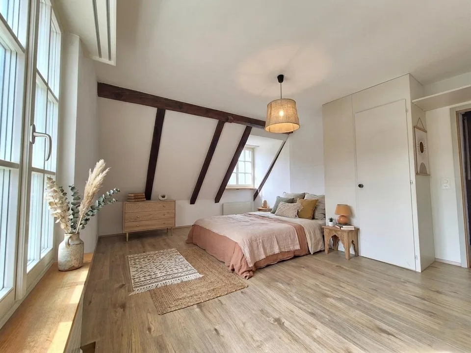 Charmante Dachwohnung in Allschwil
