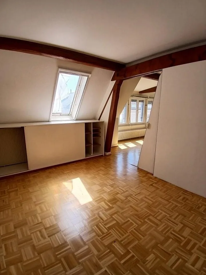 A saisir ! Charmant appartement à louer au coeur de Plainpalais ! – photo 6 sur 7