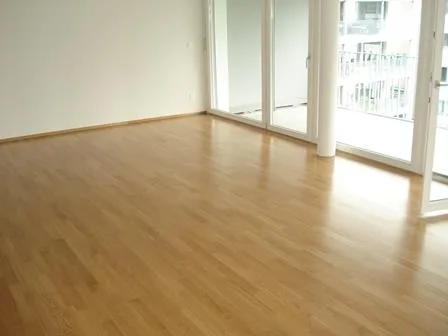 Helle, moderne, Wohnung mit sehr grossem Balkon 30.9m2