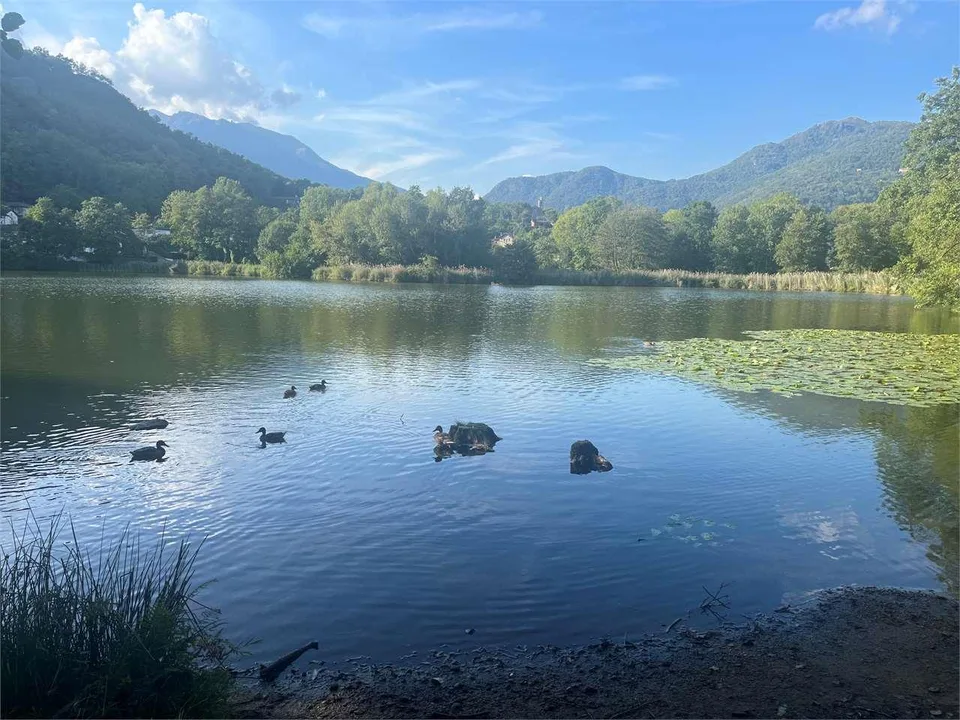Casa di charme con giardino e potenziale piscina