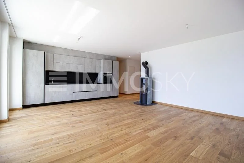 4.5Zi mit Terrasse und Aussicht  (Nr. 11a)