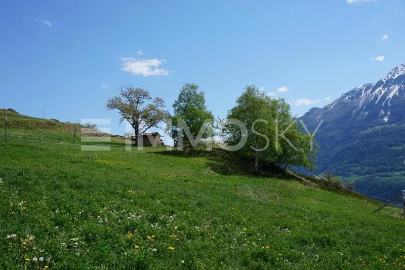 4.5Zi mit Terrasse und Aussicht  (Nr. 11a)