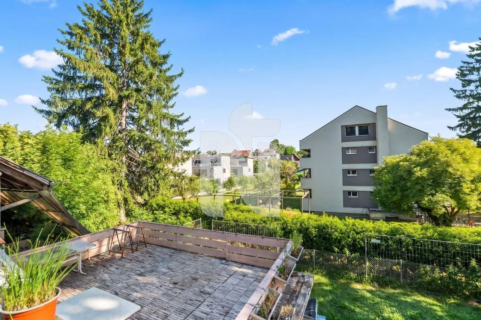 Affascinante fattoria con due appartamenti separati, grande giardino, terrazza e potenziale di investimento – foto 5 di 13