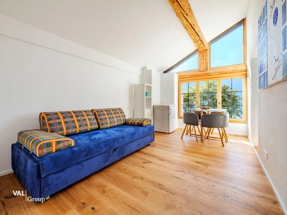 Einzigartige Gelegenheit: Haus mit zwei unabhängigen Wohnungen (5,5 und 2,5 Zimmer)