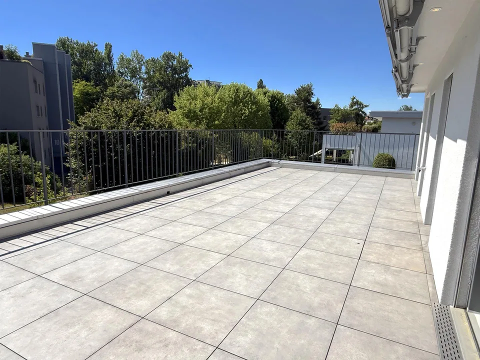 Casa indipendente di 6 locali con ascensore, giardino da sogno in uno dei migliori quartieri residenziali di Dornach – foto 10 di 14