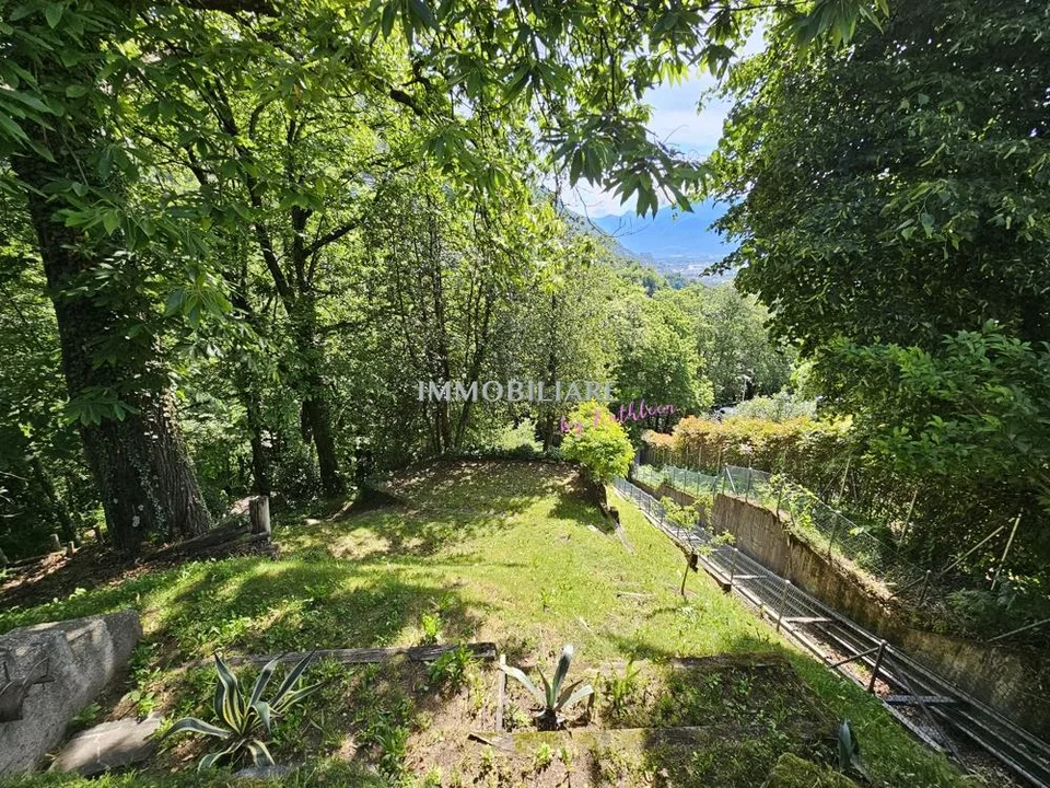 Idyllisch am Waldrand, sonnig, ruhig, nahe öV: Haus mit sep. Studio – Foto 19 von 27