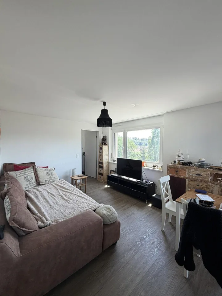 Appartement 2.5 pièces à Effretikon