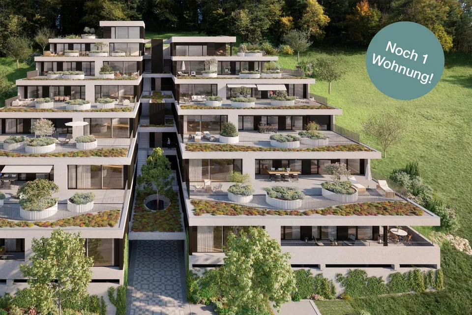 «Gartenweg» Erlinsbach - Letzte Terrassenwohnung
