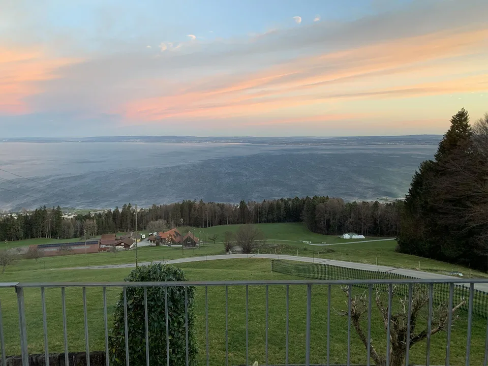 Wohnen über dem Bodensee - Haus mit atemberaubender Seesicht in Grub