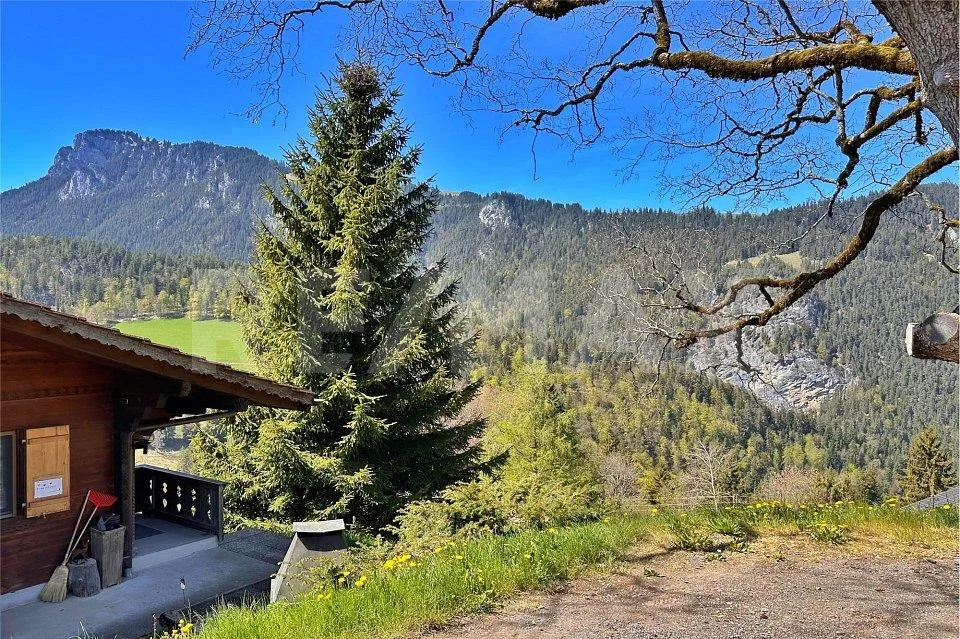Klein, fein und mit Aussicht - saniertes Studio an ruhiger Lage – Foto 12 von 13