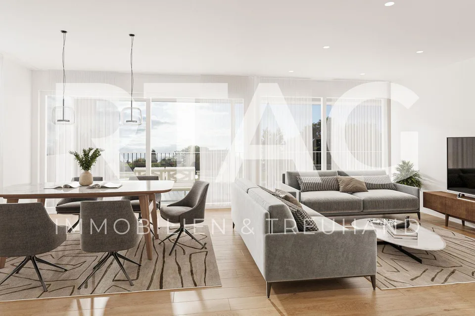 4.5-Zimmer-Attikawohnung
