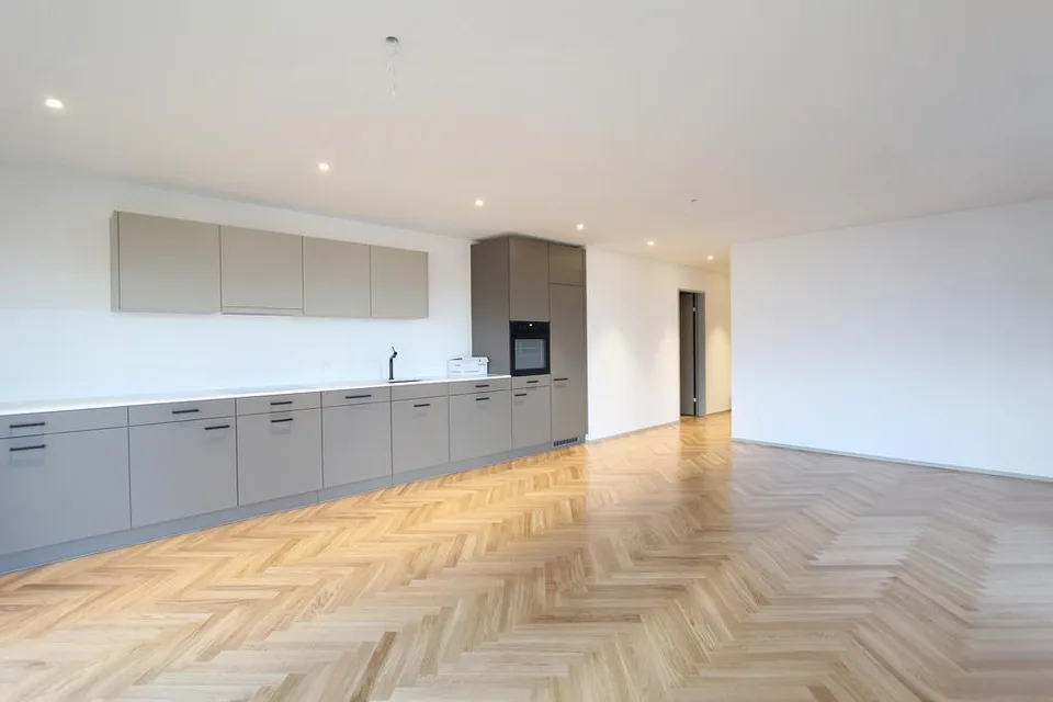 Appartamento attraente di 2,5 locali con terrazza e vista sul lago a Meilen