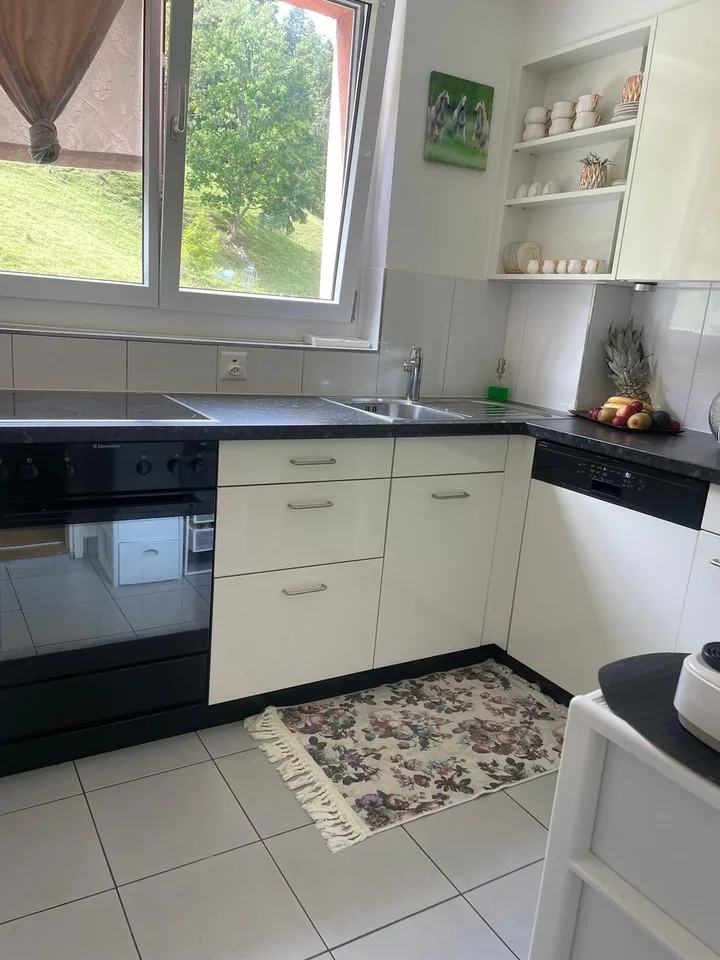 grosse 4 1/2 Zimmer-Wohnung mit sonnigem Balkon