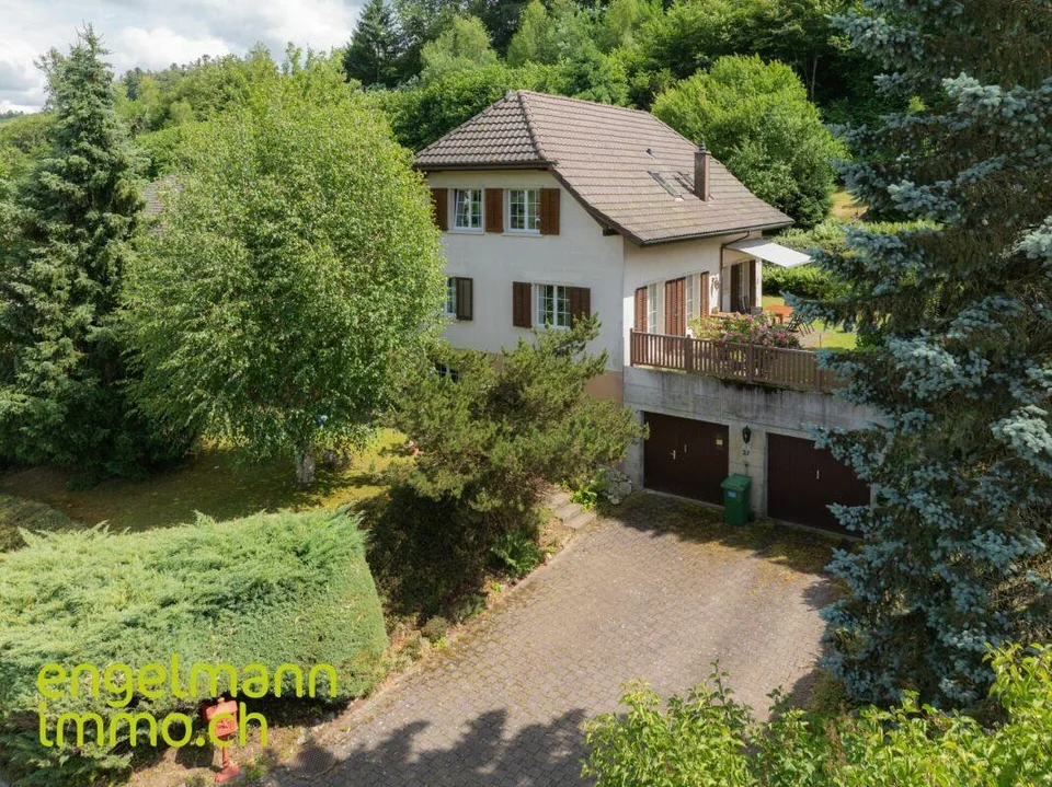 Einfamilienhaus  / Maison individuelle
