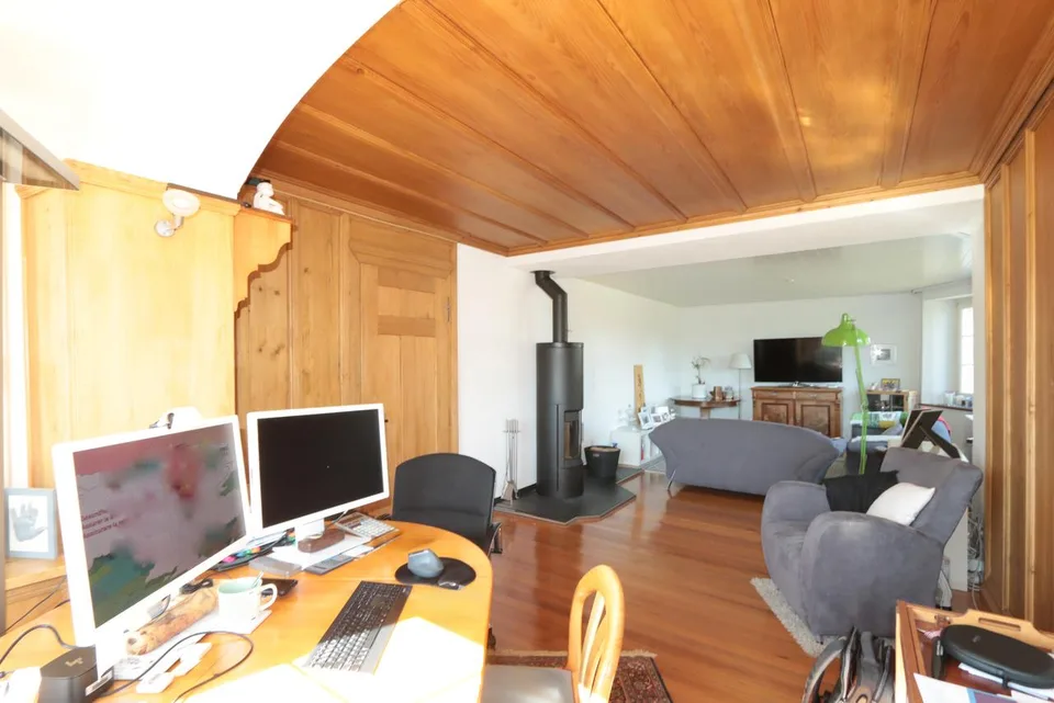Familienidylle auf 1'400 m² – Villa mit Charme, Garten und Geschichte