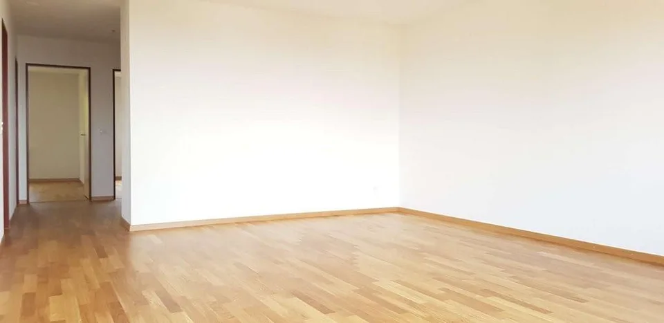 Dies könnte ihr neues Zuhause sein!