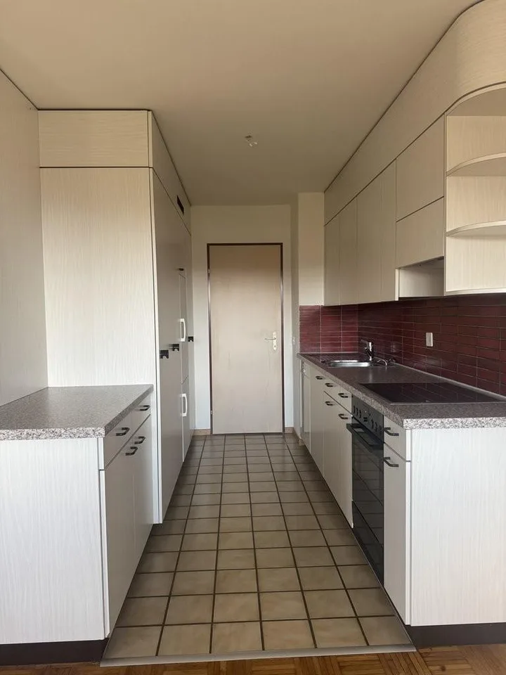 Dies könnte ihr neues Zuhause sein!