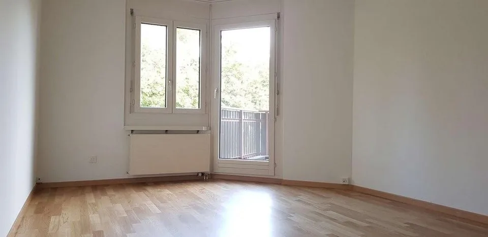 Dies könnte ihr neues Zuhause sein!