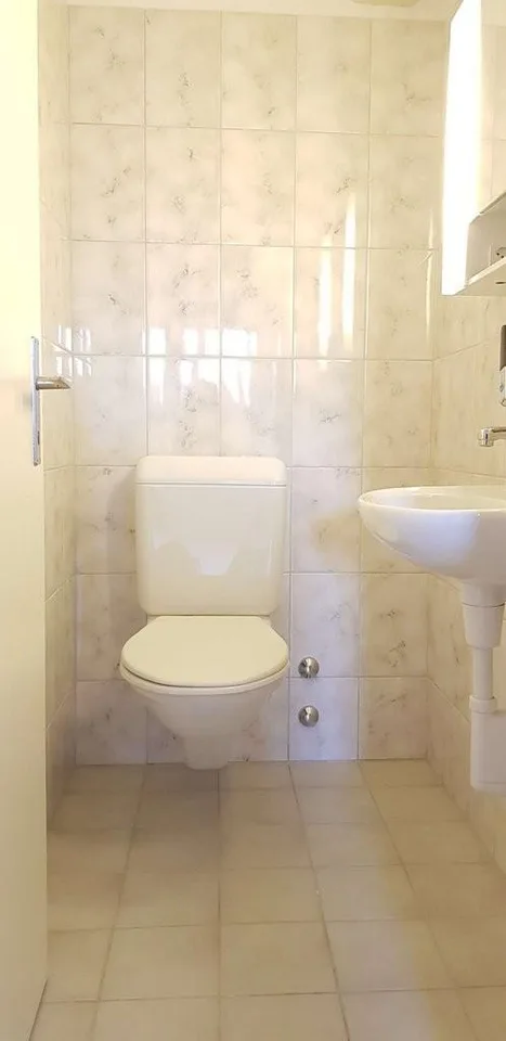 Dies könnte ihr neues Zuhause sein!