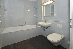 Appartement dans le Glattpark avec son propre lac ! Location sans caution
