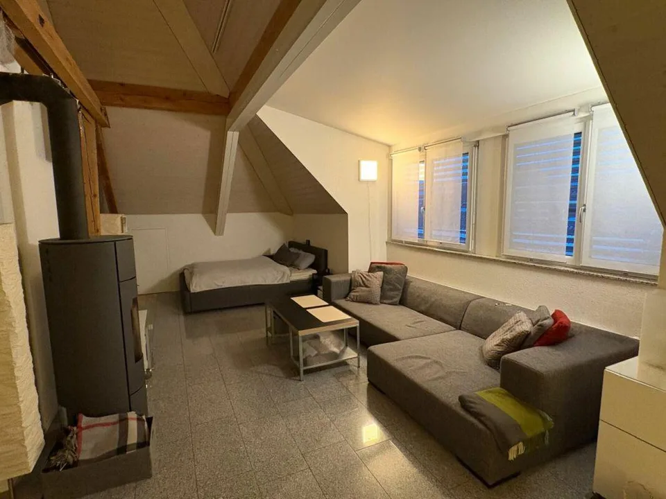 Grand appartement 1.5 pièces avec balcon