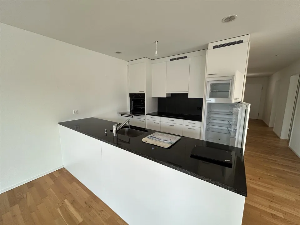 Appartamento a terrazza moderno nel centro / buono spesa Ikea di CHF 300.00 per i nuovi inquilini