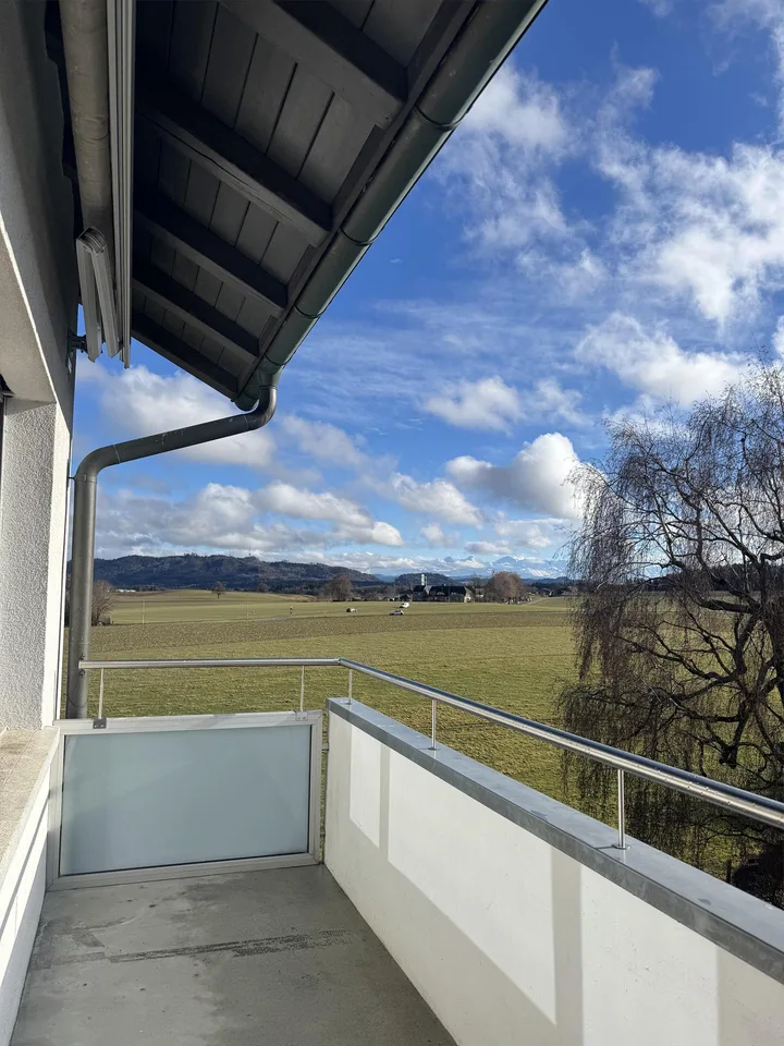 Helle 4-Zimmer-Wohnung mit Balkon und Weitsicht bis zu den Alpen – Foto 7 von 9