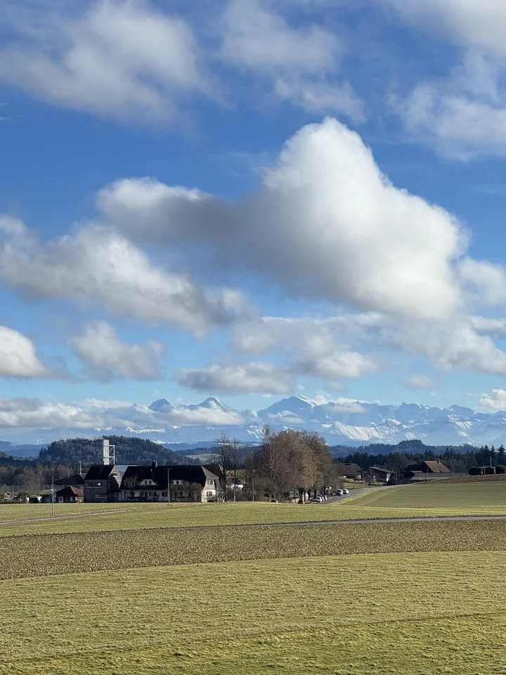 Helle 4-Zimmer-Wohnung mit Balkon und Weitsicht bis zu den Alpen – Foto 8 von 9