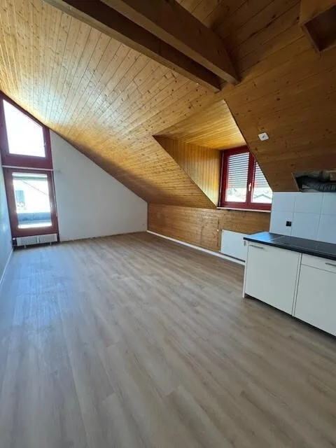Appartamento mansardato 1 camera con cucina e bagno ristrutturati
