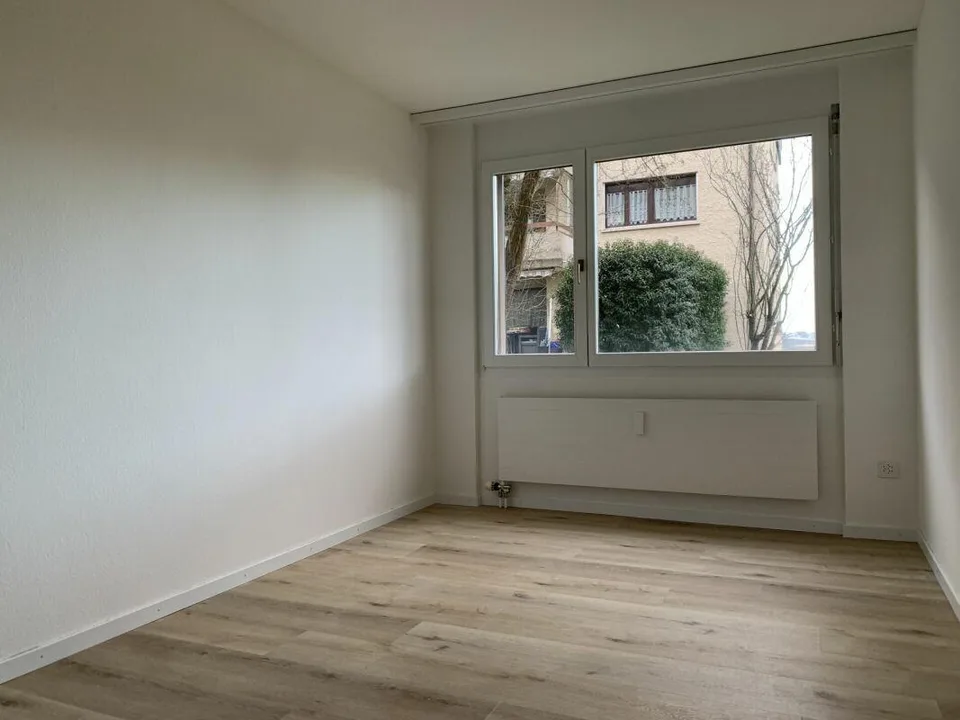 Grosszügige, frisch renovierte Wohnung an sehr ruhiger Lage