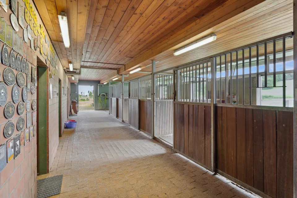 Maneggio con 4-5 box e sala di equitazione