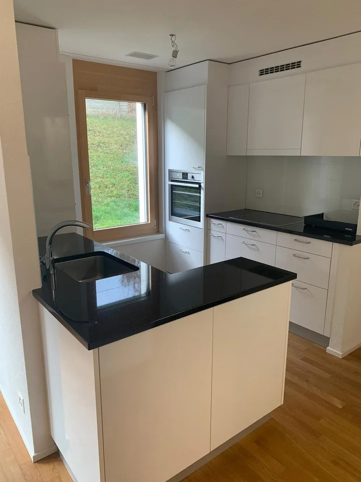 Appartamento 2.5 locali in affitto a Niederdorf