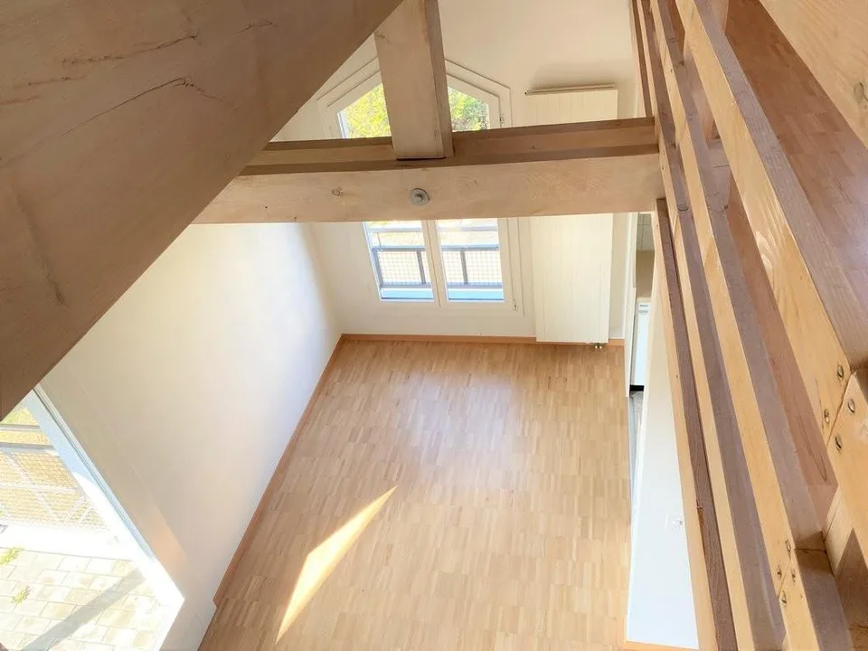 Two rooms PLUS large gallery