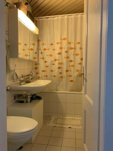 gemütliche Wohnung mitten in der Stadt Bern