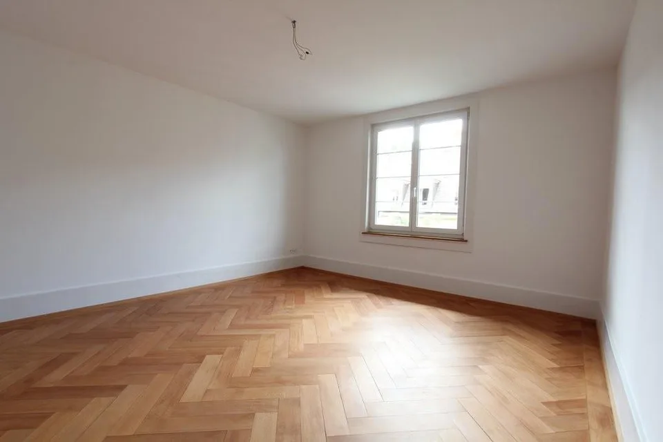 Schöne grosse Wohnung im Mattenhofquartier