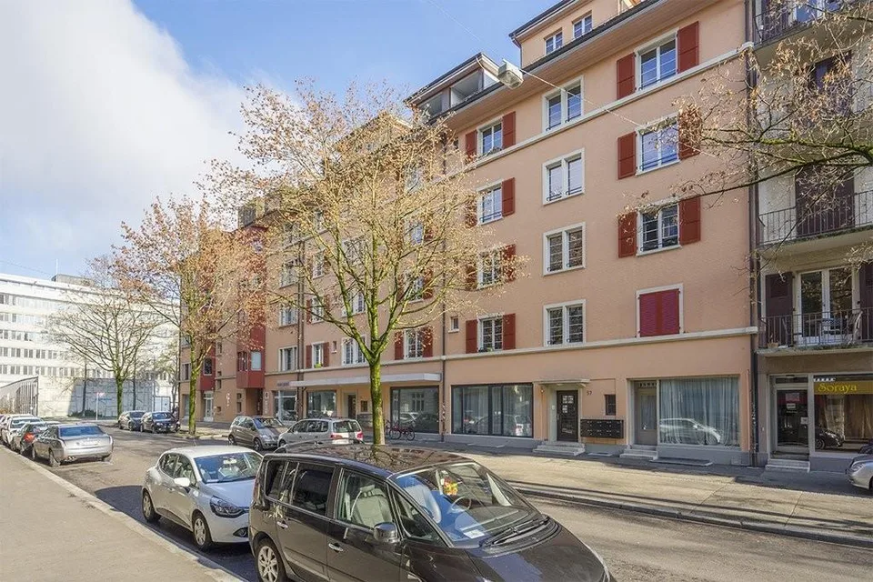Schöne grosse Wohnung im Mattenhofquartier