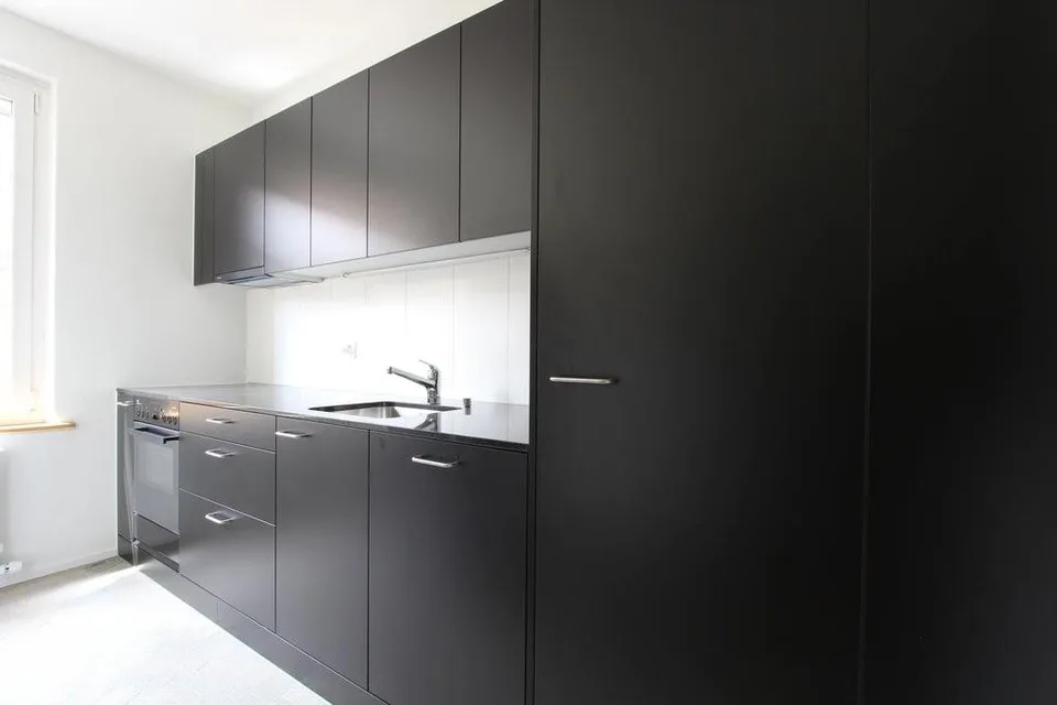 Schöne grosse Wohnung im Mattenhofquartier